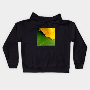 Pumpkin Blossom & Foliage Kids Hoodie